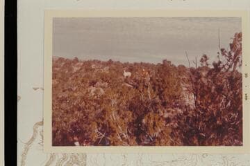 Horses above ravines south of Robbers Roost