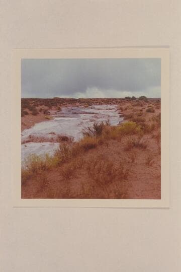 Flood in Trail Canyon