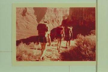 Start of trail into Meriwitica Canyon