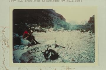 Camp in Separation Canyon about 4 miles from river