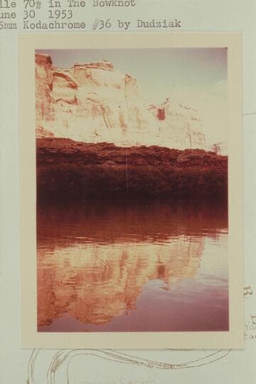 Mile 70 1/2 in The Bowknot