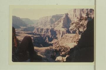 Downriver from gully above Ervin Spring