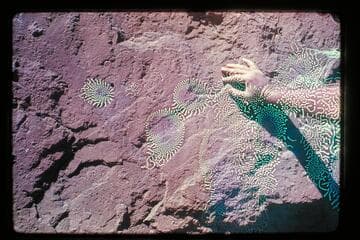 Inscription; Chandler Creek