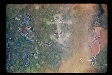 Anchor; Chandler Creek