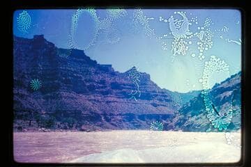 Desolation Canyon, June 1969