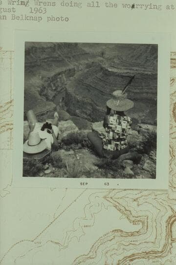 The Wrens doing all the worrying at Buck Farm Point