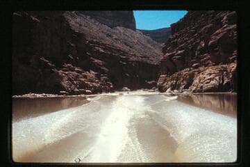 Topping Sheerwall Rapid