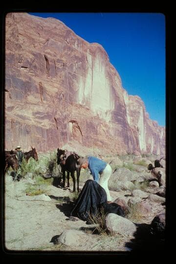 Archeyes changes film