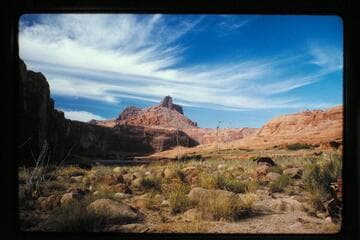 Up Colorado River from Mile 71.3