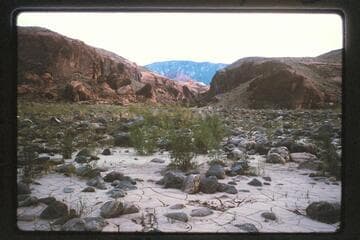 Entrance to canyon of Black Water Creek