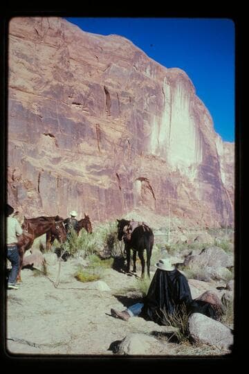 Archeyes changes film