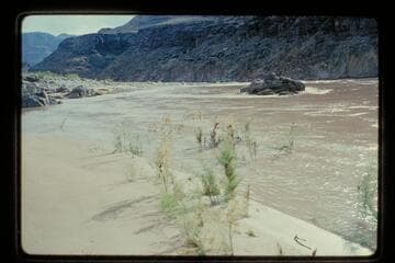 Head of 217 Mile Rapids