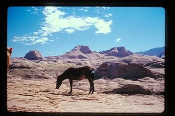 Across Moepitz Canyon