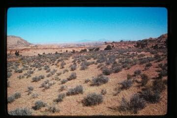 Down basin of Cha Canyon