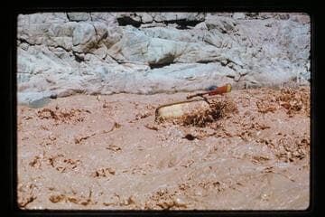 Mack Miller runs 217 Mile Rapids