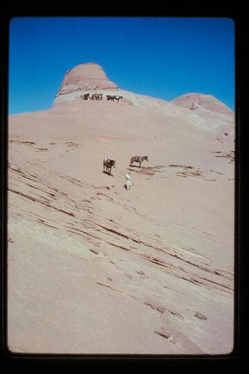 Trail off the top into basin north of Sid Whiskers Butte