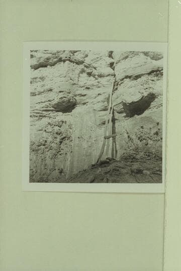 The old ladder at the "Hopi Salt Mine"