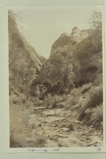 Side canyon of the Escalante River