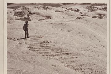 Schock Trail- lower end.  Mile 111, north bank