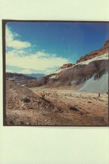 Side canyon to Glen Canyon, left bank at mile 147, looking toward river