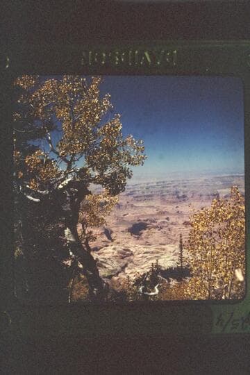 Rainbow Bridge from Navajo Mountain
