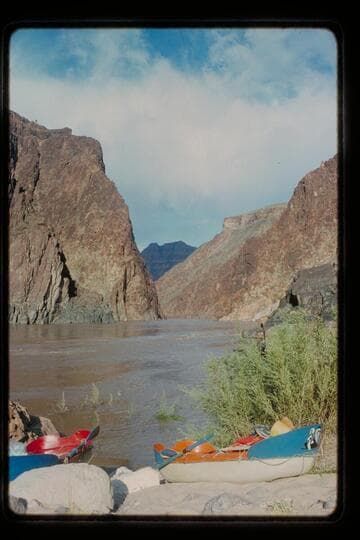 Yaks on beach at Travertine Creek