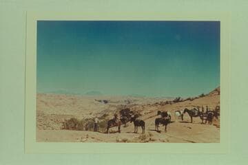 On saddle between Bald Rock Creek and Nasja Creek.  The Henry Mountains in distance