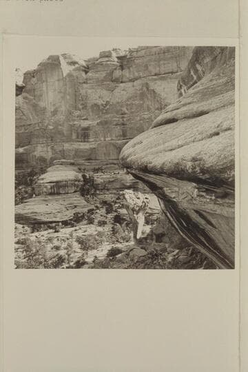 Mushroom and bridges in Pegasus Canyon.  North side of the Abajo Mountains