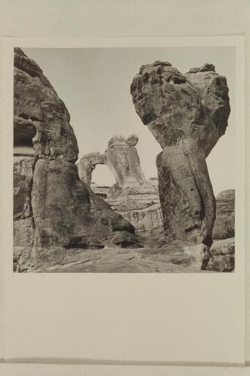 Mushroom and Pegasus Arch