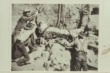 Carnegie Museum crew hoists dinosaur bone from quarry; Dinosaur National Monument