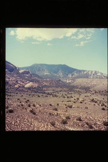 Navajo Mountain across Trail Canyon