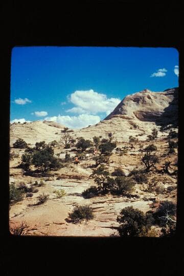 Group on White Rock Trail