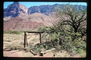 Remnants of cabin, Comanche Point, looking up river