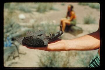 Mile 69.7 left bank, at old cabin