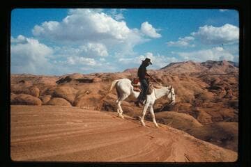 Tobe Owl, trail west side of Nasja Creek