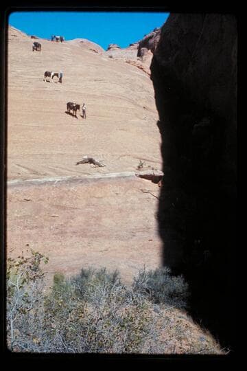 Down into northeast fork of 73