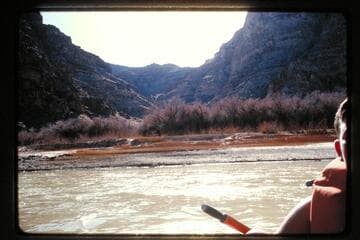 Mile 206.2, left bank