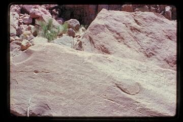 Nevills inscription, rapid no. 23