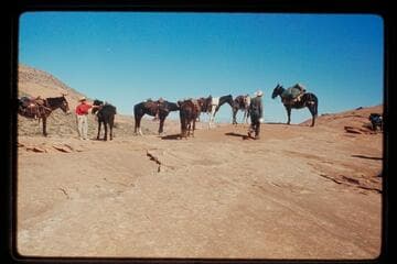 On Bald Rock east of northeast fork of 73