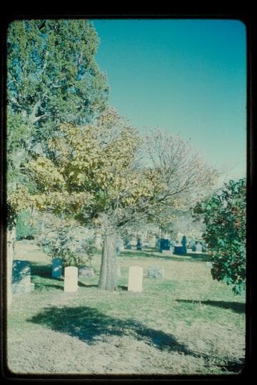 Graves of James and Octavia White; Trinidad, Colorado