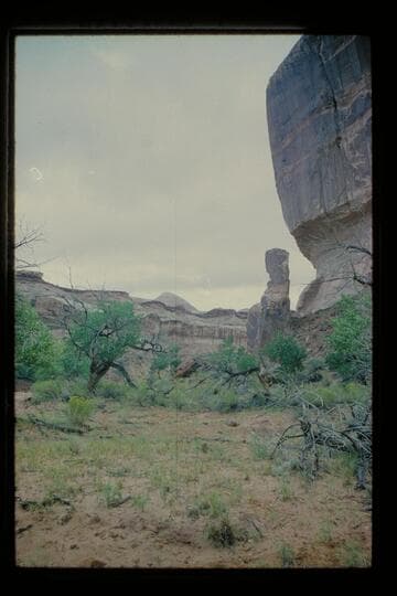 Down Roost Canyon near camp