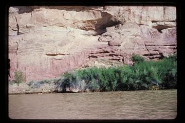 Ruin, lower end of Grassy Bottom