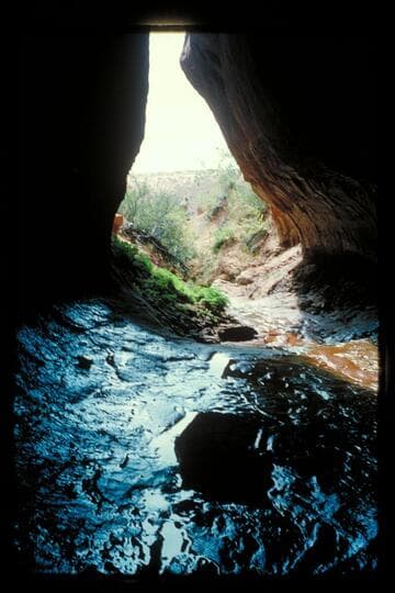 Cave; Roost Canyon