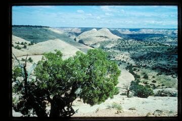 Horseshoe Canyon; Horsethief Trail