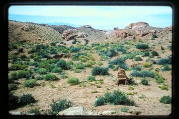 Chimney near Frenchy name