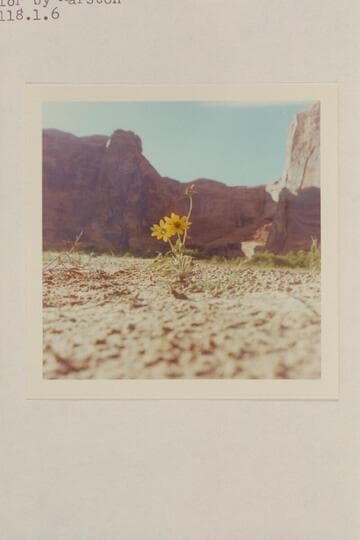 The bride's bouquet in front of The Chapel