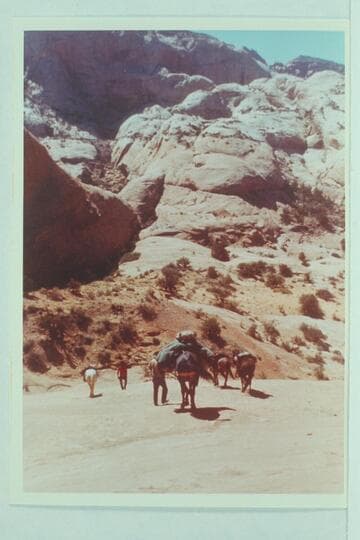 Down into head of northeast fork of 73.  The mule bucked at the top of this sloping slick rock