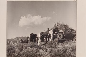 Bahe unsaddling the pack at edge of Navajo Canyon