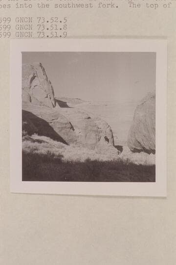 Down the middle fork of 73 from a short distance below camp.  The stream undercuts the tight wall.  Above and to left of center is edge of mesa over which trail goes into southwest fork