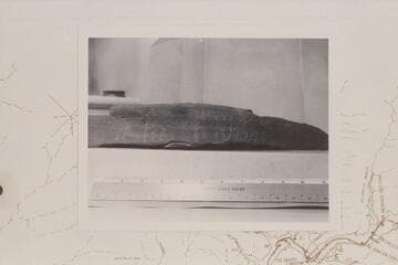 "Julie Julian" inscription on rock slab at Fort near White Canyon